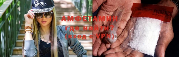 прущие грибы Волосово