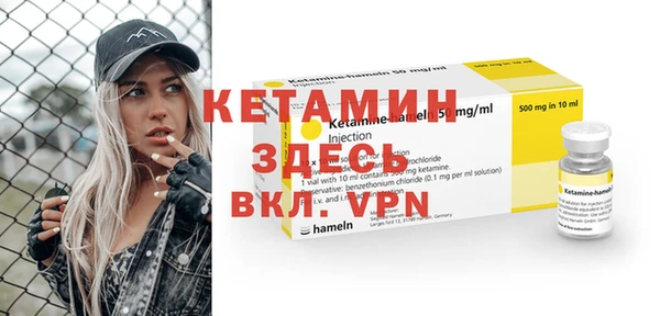 прущие грибы Бронницы