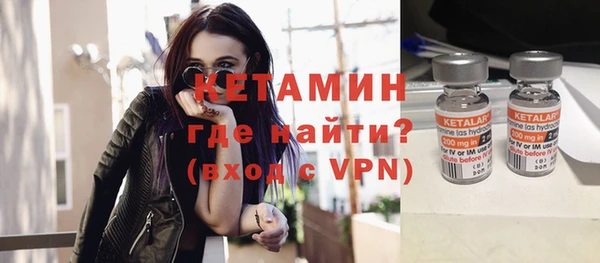 шишки Белая Холуница