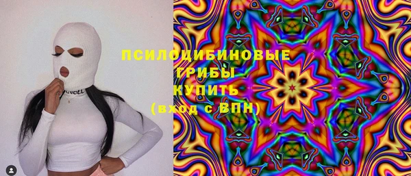прущие грибы Волосово