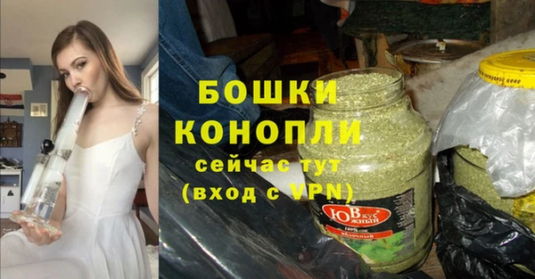 прущие грибы Волосово