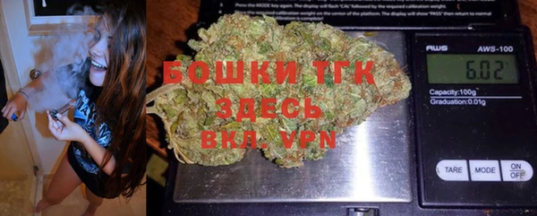 прущие грибы Волосово