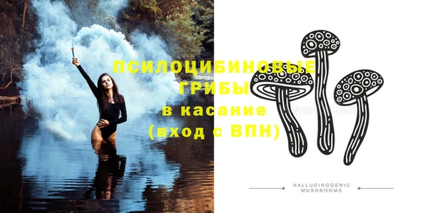 прущие грибы Волосово
