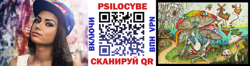 Псилоцибиновые грибы Psilocybe  Голицыно 